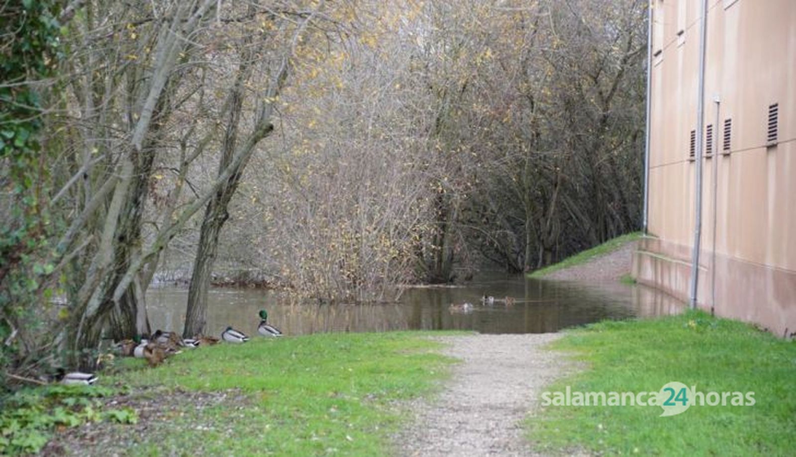 Caudal a su paso por las playas de Alba. Fotos: Juanes 