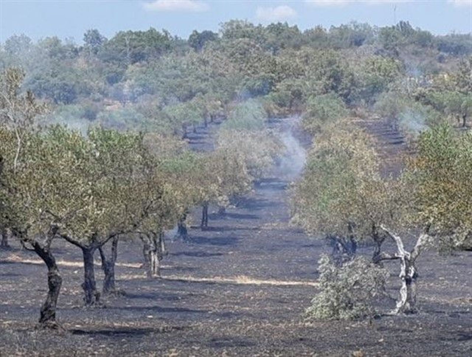 Fotonoticia 20190821191518 640