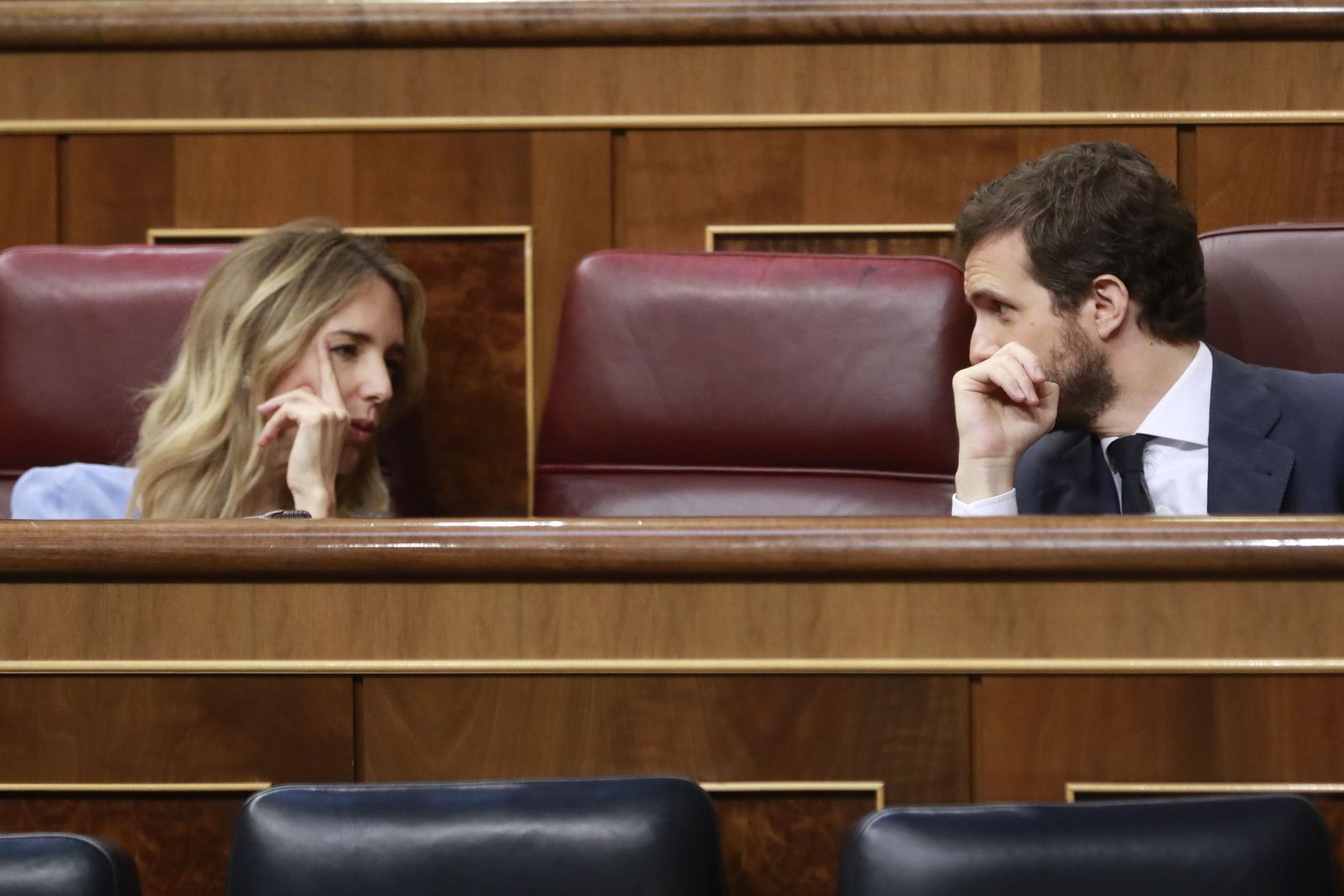 El presidente del PP, Pablo Casado, habla con la portavoz del Grupo Popular en el Congreso, Cayetana Álvarez de Toledo, durante la sesión plenaria de control al Gobierno. En Madrid, (España), a 10