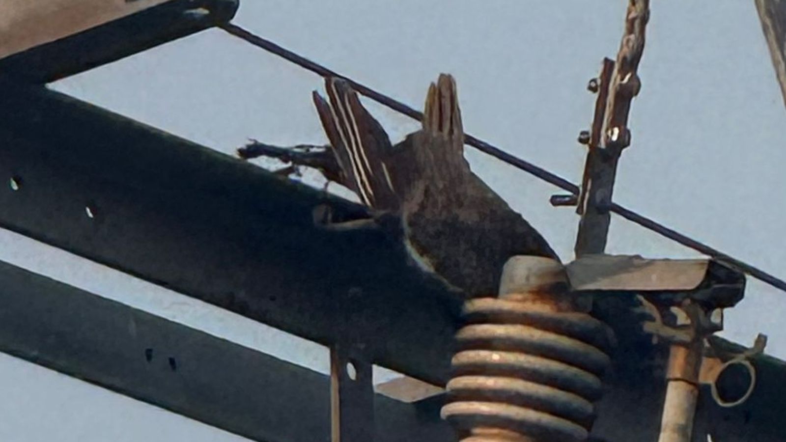 Incendio en Cabrerizos