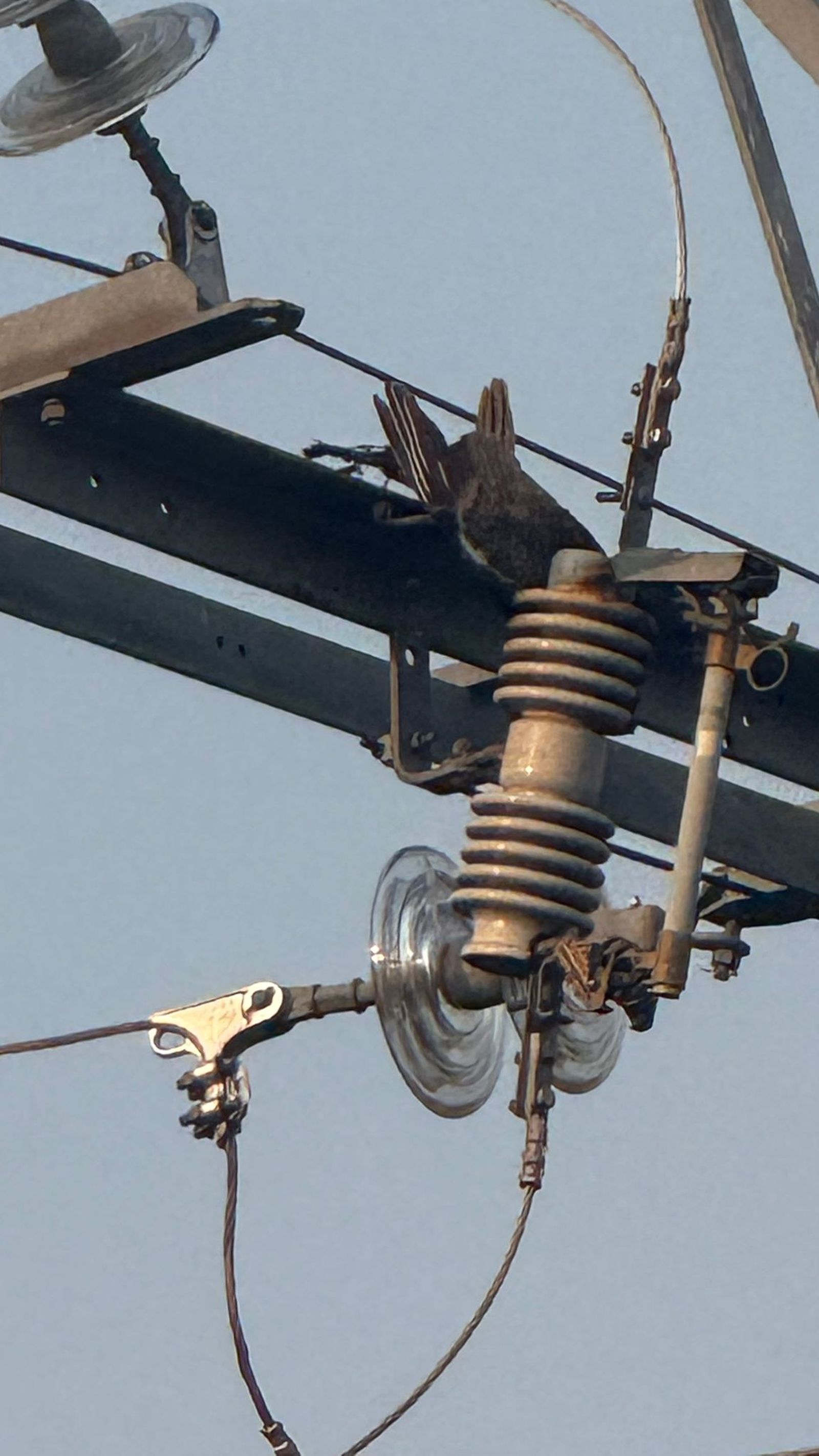 Incendio en Cabrerizos