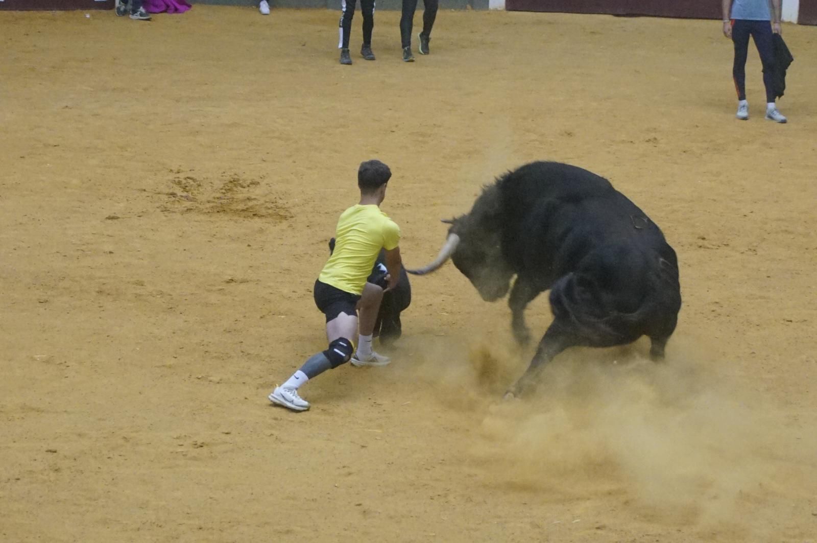 Toro del cajón y capea en Alba de Tormes