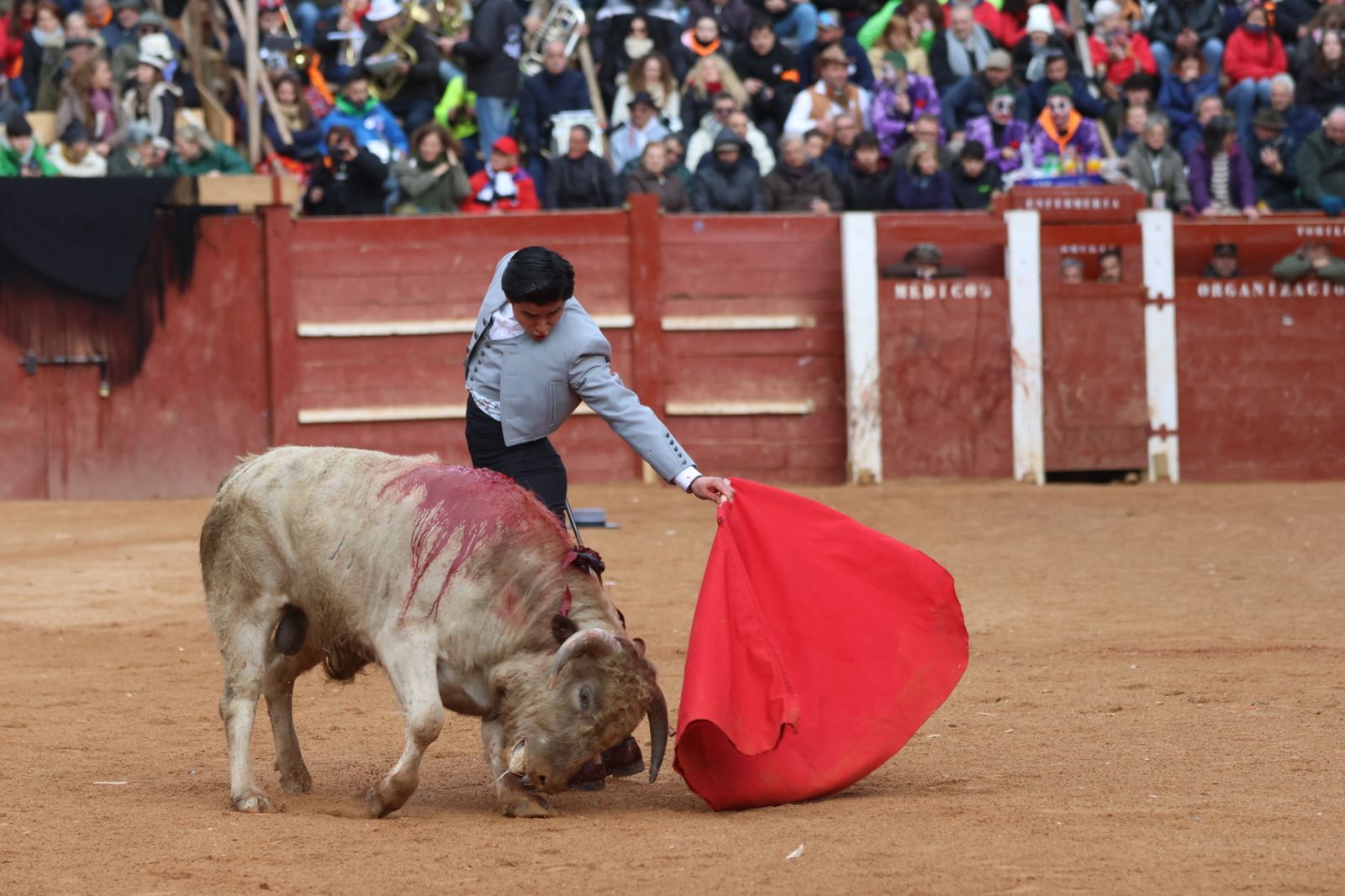 Novillada sin picadores del bolsín taurino y rejones en Ciudad Rodrigo