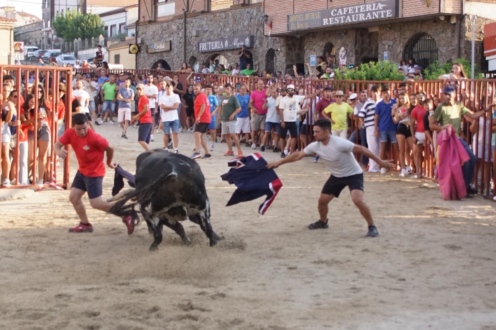 Pasión, tradición y calle: así se ha vivido en Ledesma el II Toro de Cajón