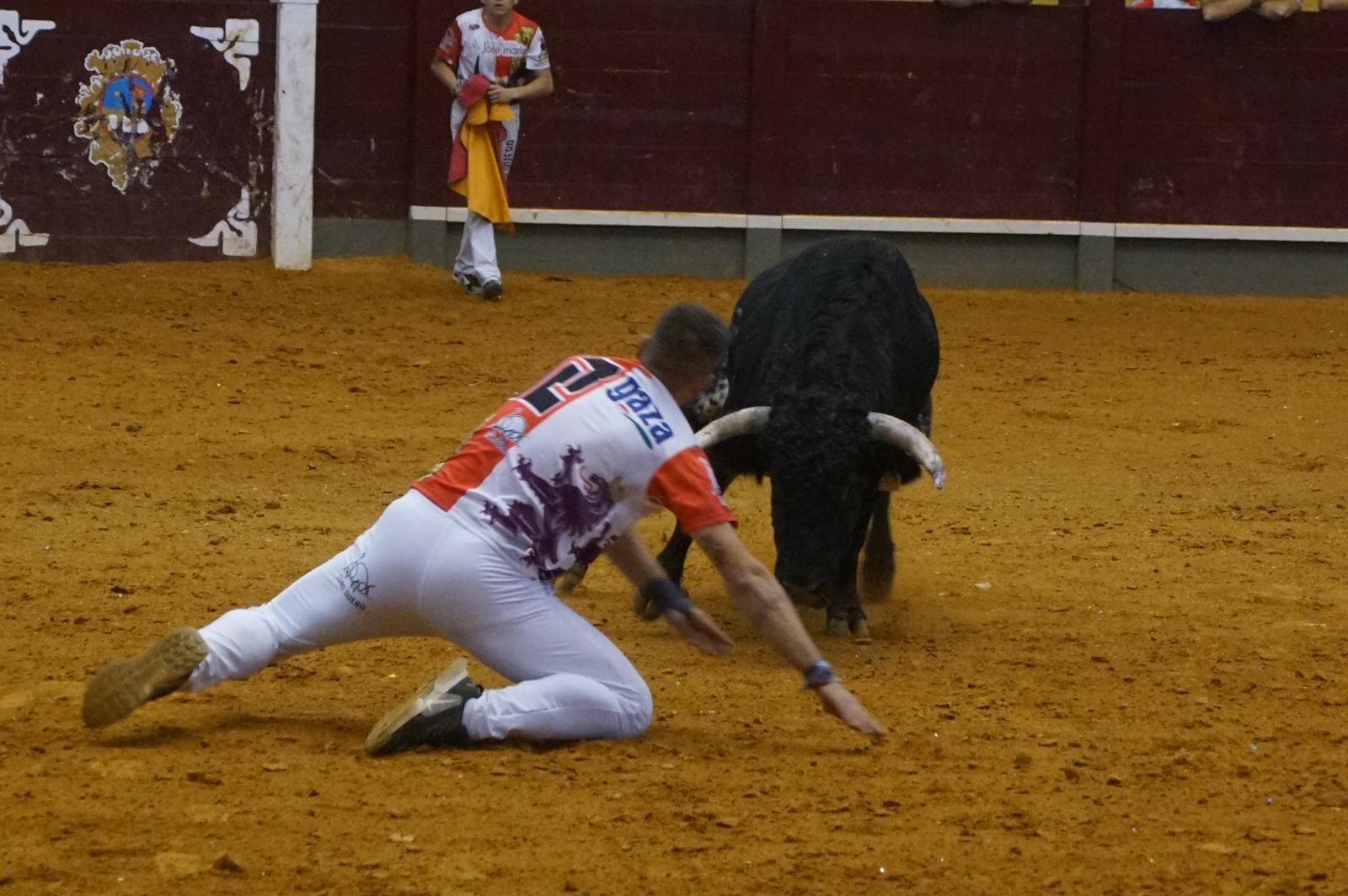 Alba de Tormes celebra un nuevo concurso de cortes