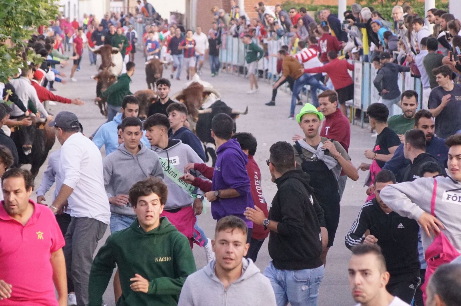 b4b2dd74-ded7-4e3a-aa20-cd73a0e39bd3