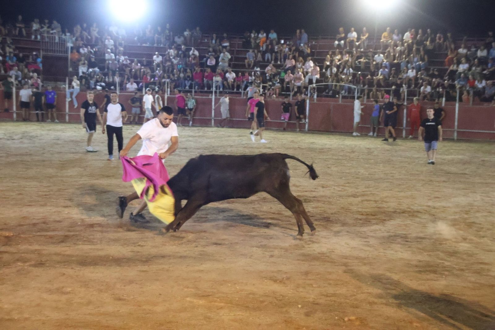 20240815214243-img-3752