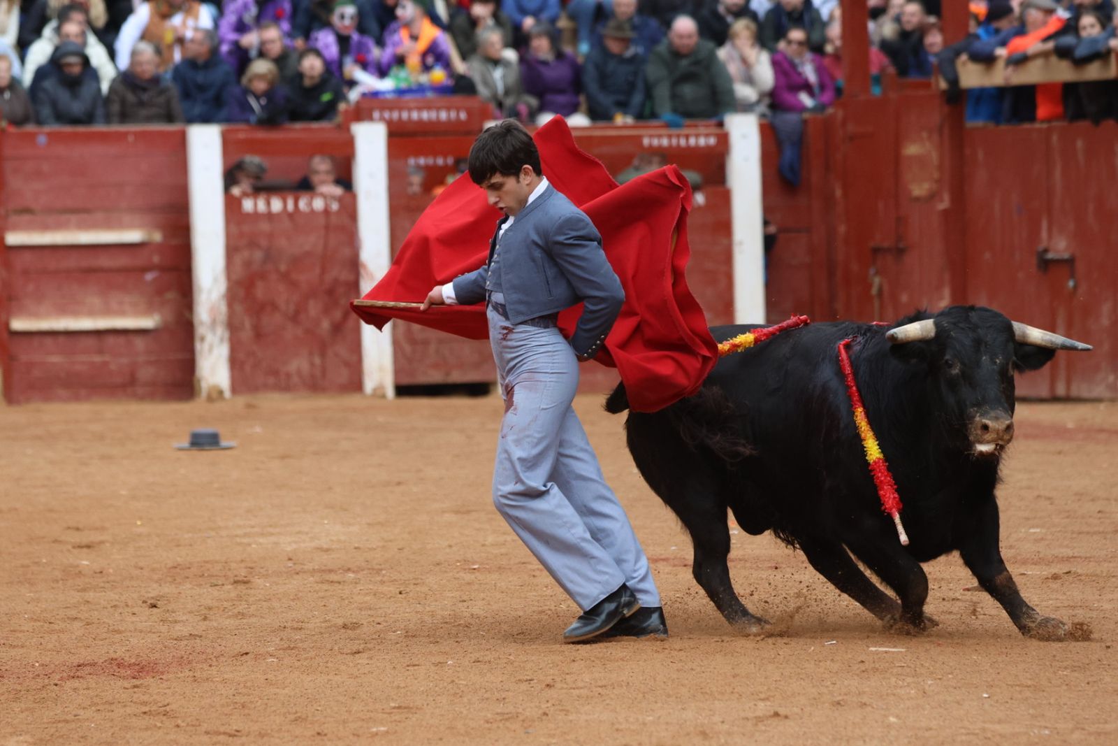 Novillada sin picadores del bolsín taurino y rejones en Ciudad Rodrigo
