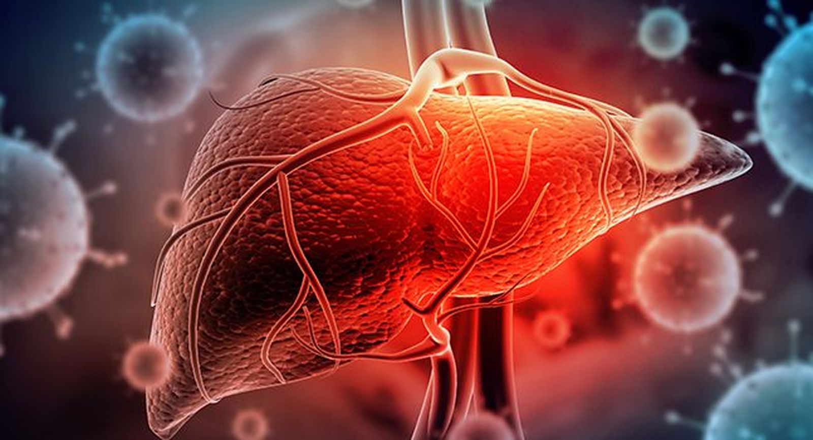 La Universidad de Salamanca participa en el nuevo estudio europeo que muestra el aumento de la incidencia y mortalidad del cáncer de vías biliares La Universidad de Salamanca participa en el nuevo estudio europeo que muestra el aumento de la incidencia y mortalidad del cáncer de vías biliares