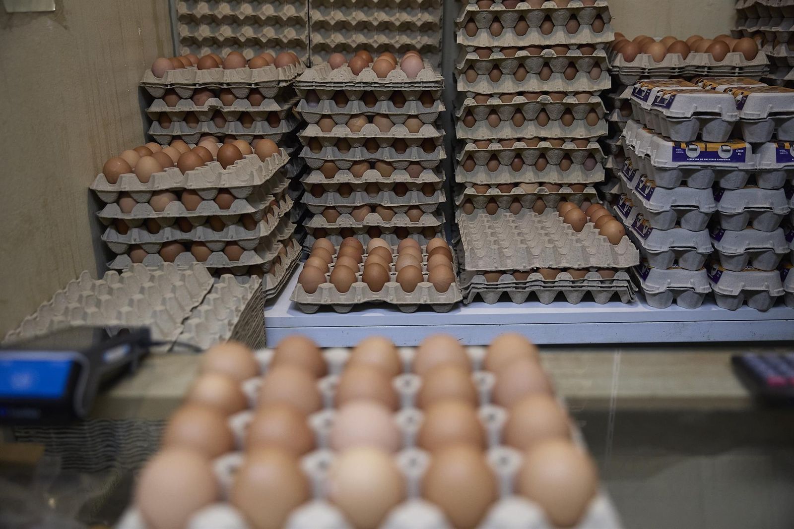 Huevos - Jesús Hellín - Europa Press - Archivo