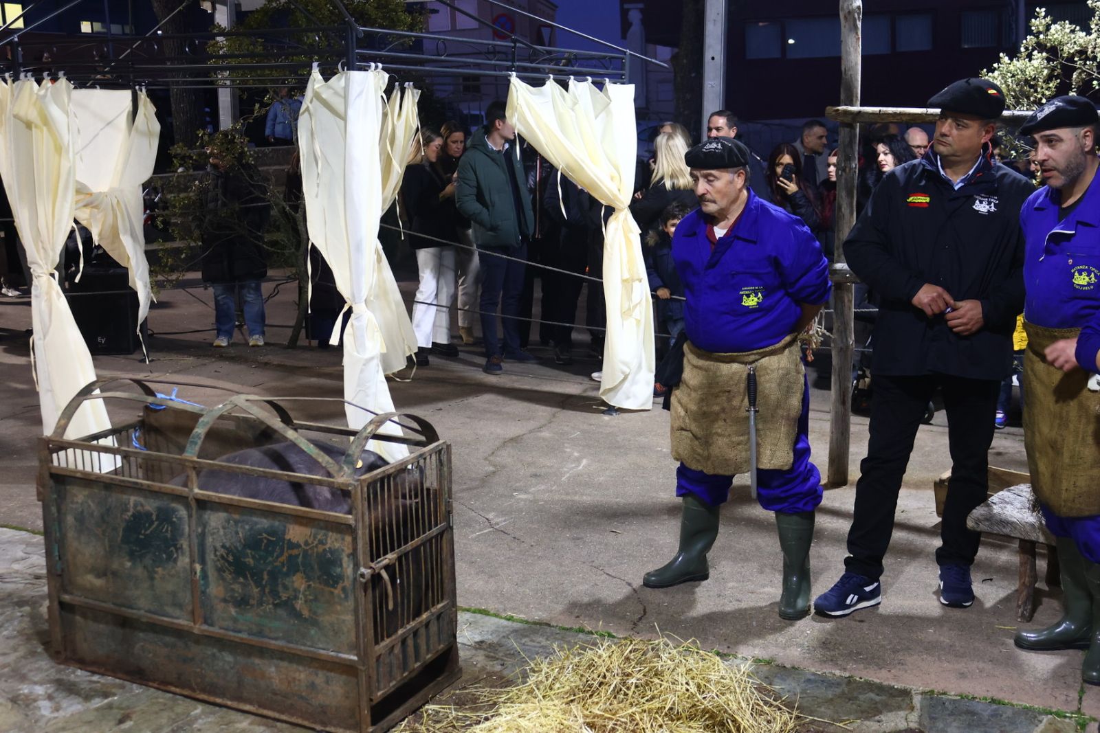 Matanza nocturna de Guijuelo dedicada a la hostelería