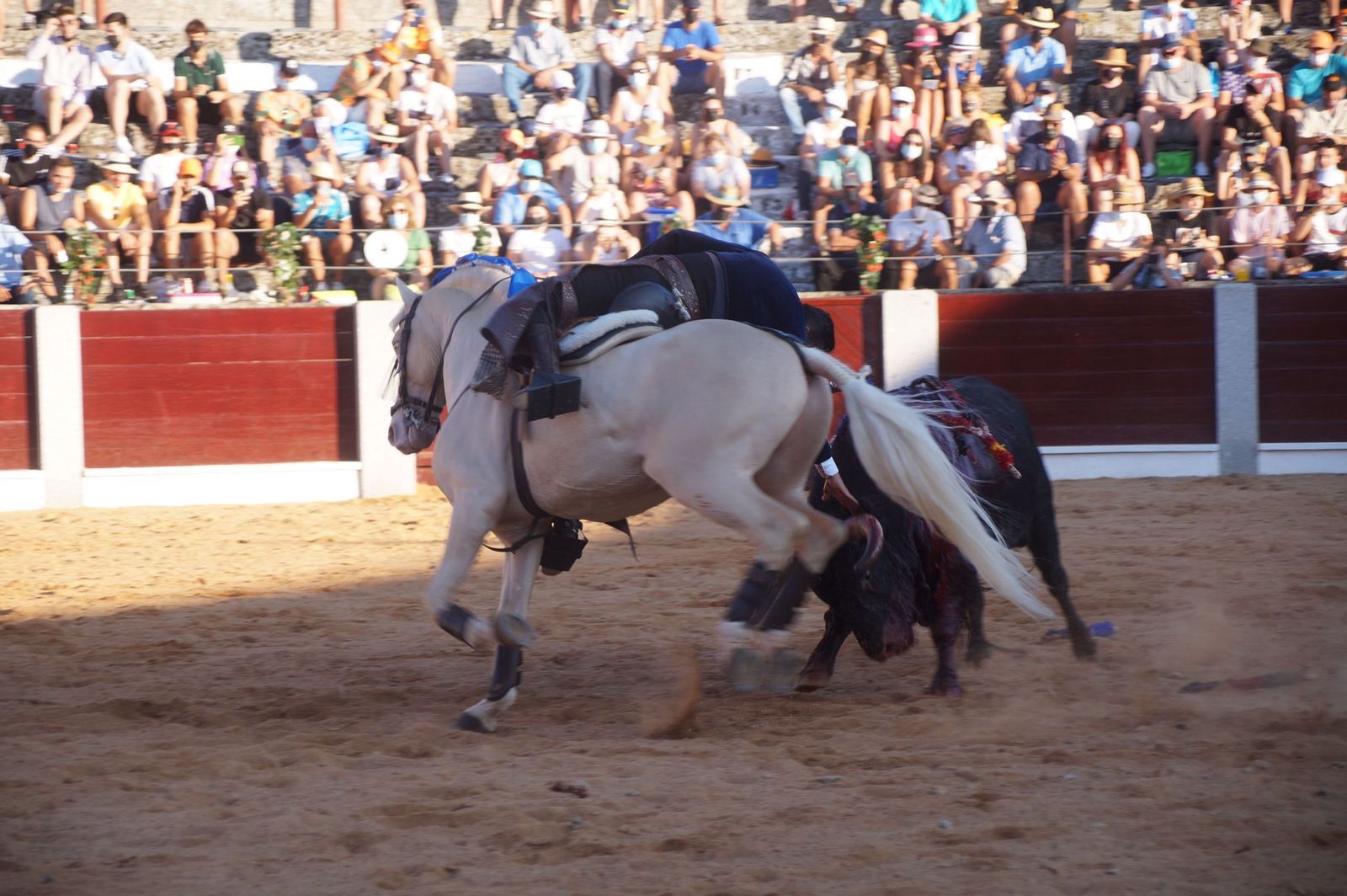 whatsapp-image-2021-08-16-at-21-02-59