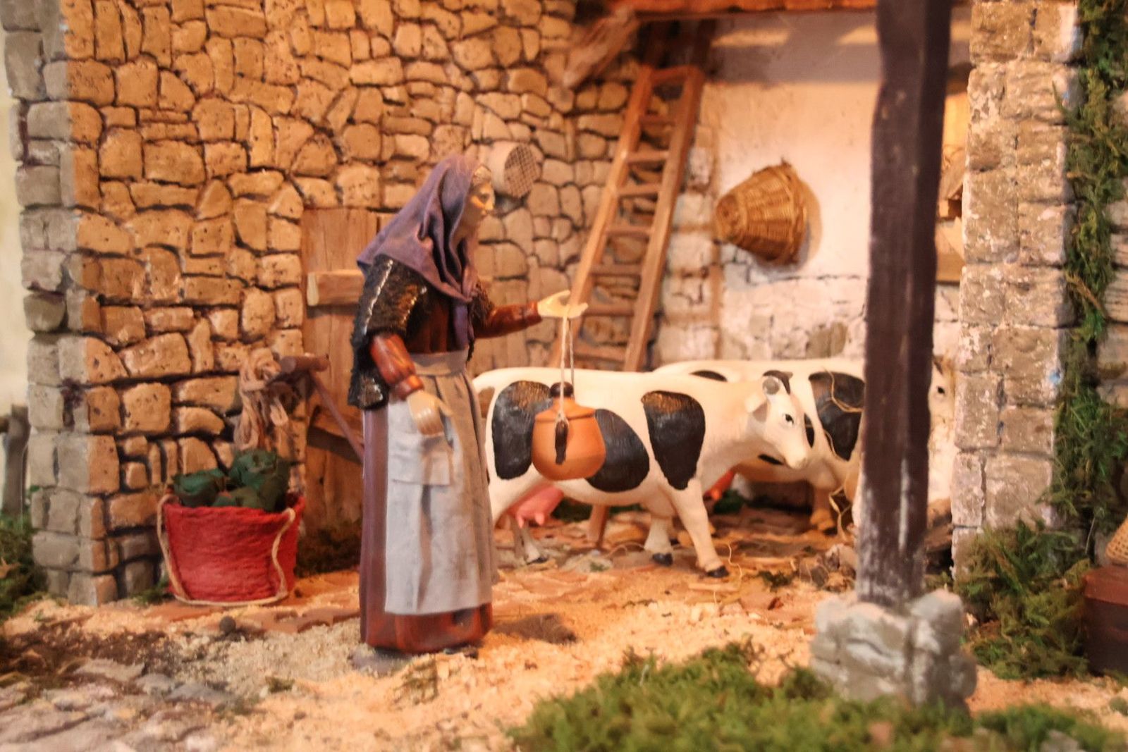 20231201133840-img-5024