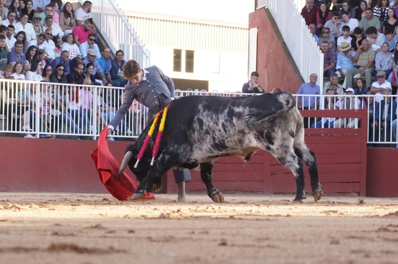 whatsapp-image-2024-09-07-at-20-48-36-7