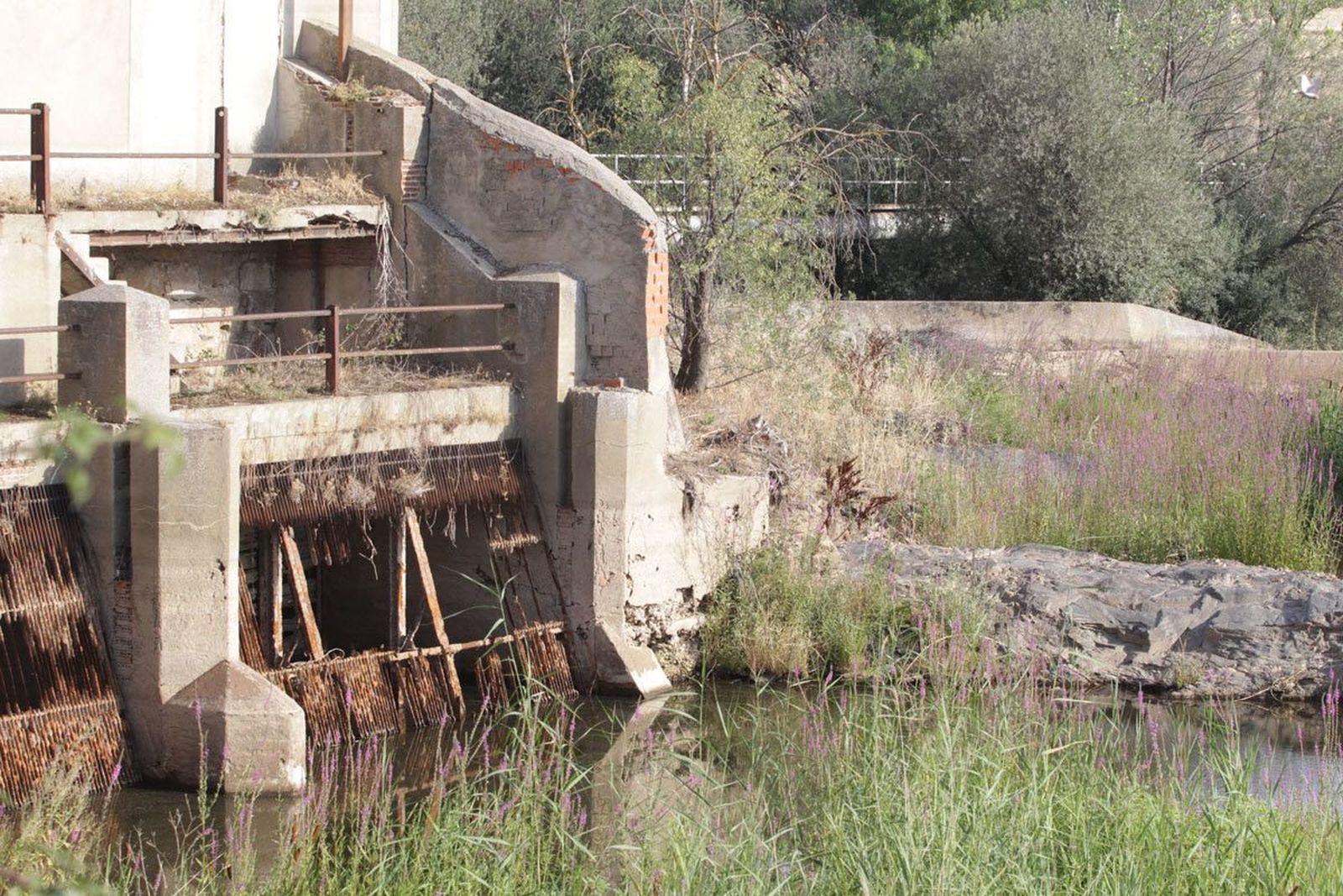 Pesquera de Tejares: julio de 2017