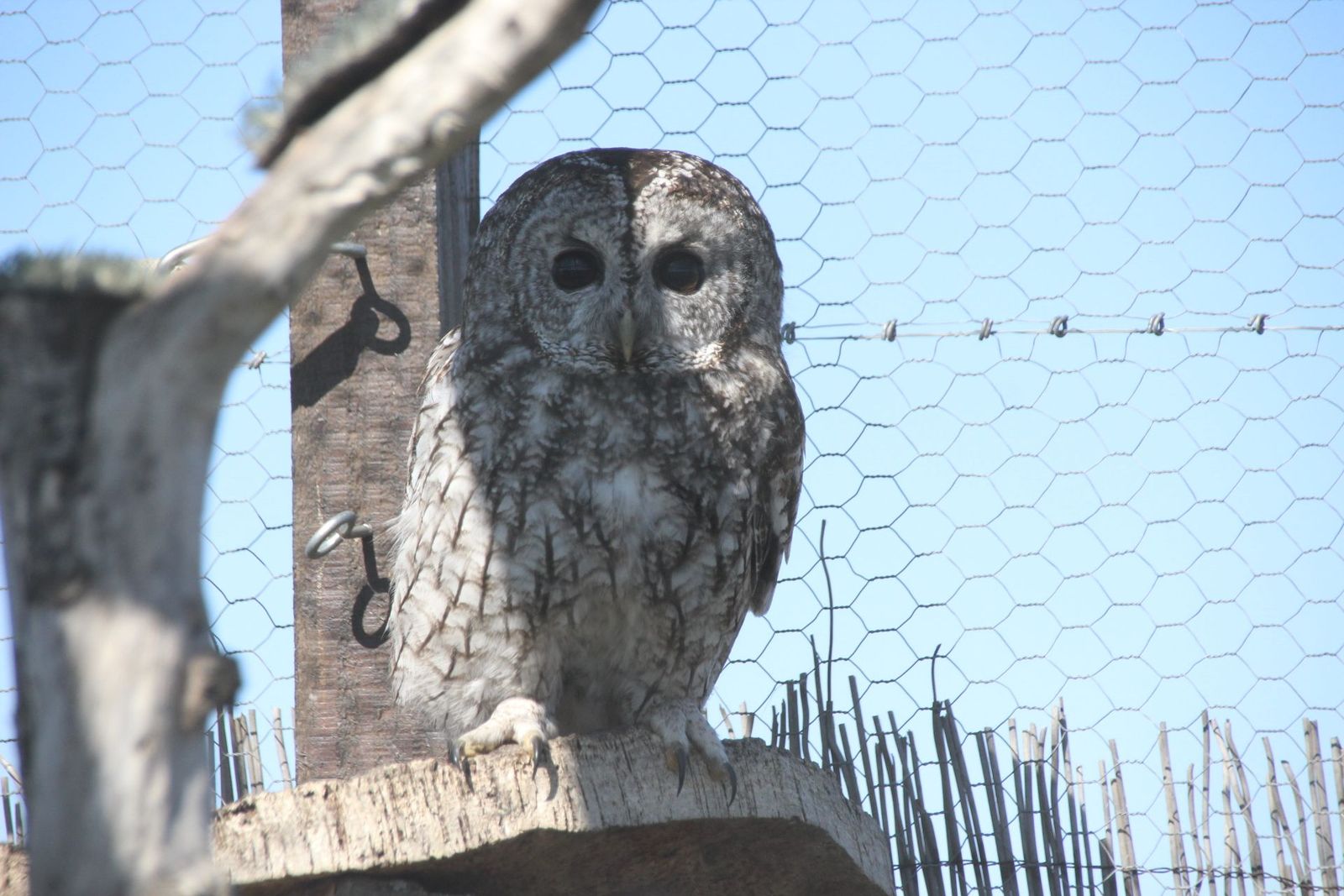 20230304153009-img-1694