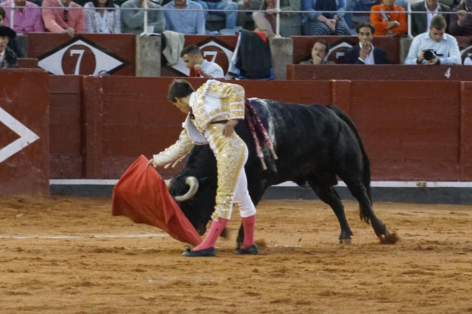 Corrida Concurso momentos más destacados del último festejo de abono de la Feria Taurina Virgen de la Vega 2024. Fotos Carlos H.G y Juanes (22) Corrida Concurso momentos más destacados del último festejo de abono de la Feria Taurina Virgen de la Vega 2024. Fotos Carlos H.G y Juanes (22)