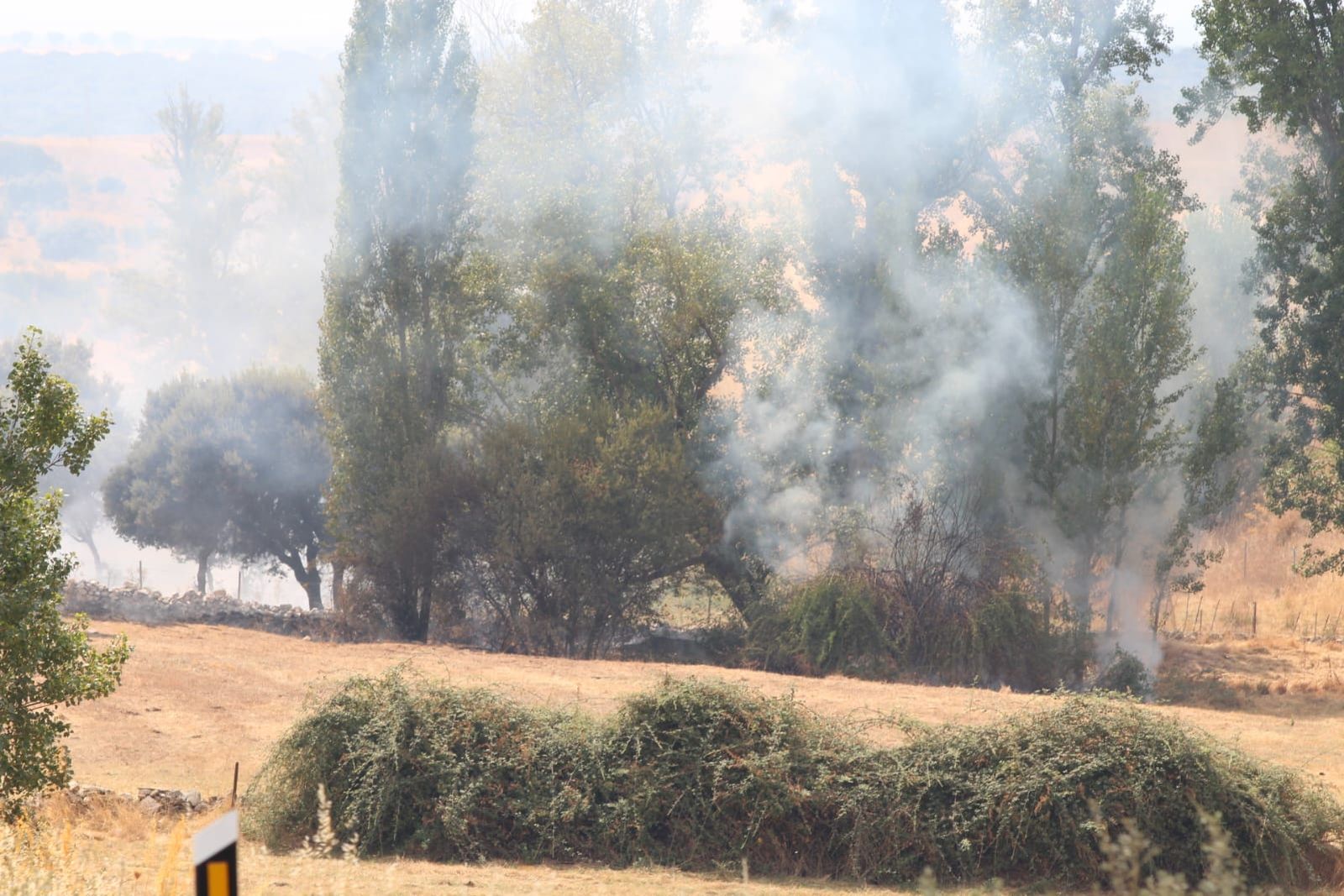 whatsapp-image-2024-09-02-at-14-28-40-2