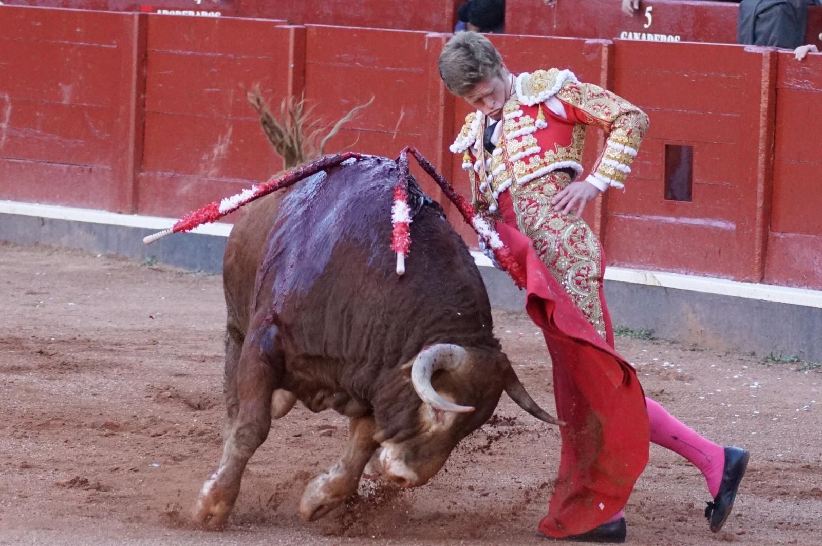 La corrida concurso para despedir la feria con Morante, Talavante y Borja Jiménez: imágenes de los mejores momentos en La Glorieta