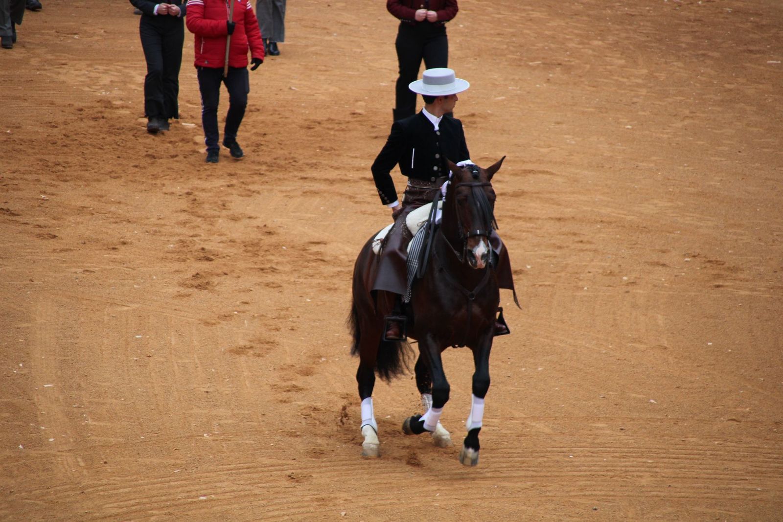 whatsapp-image-2025-03-02-at-16-55-47