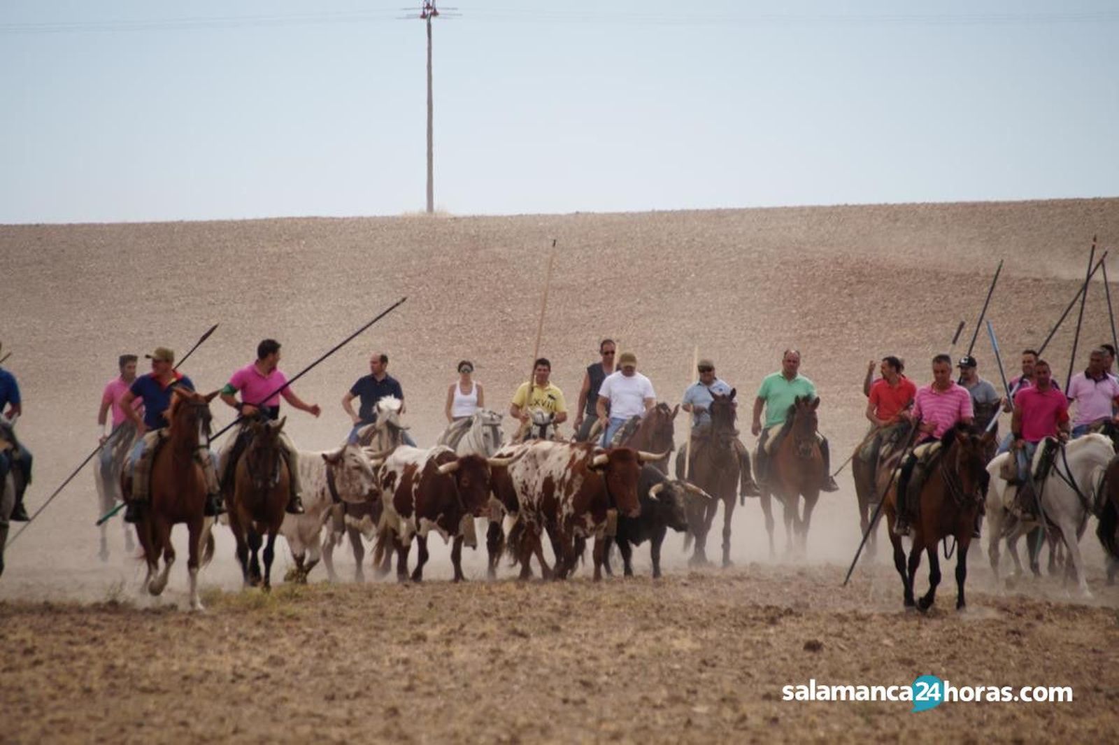 Encierro domingo Macotera (161)