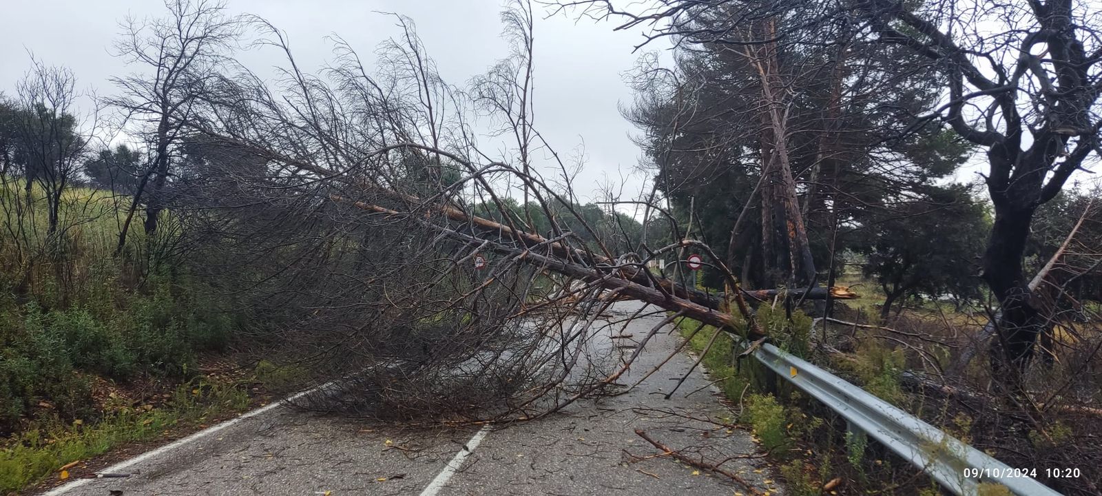 imagen-de-whatsapp-2024-10-09-a-las-11-48-57-3eaa81b2