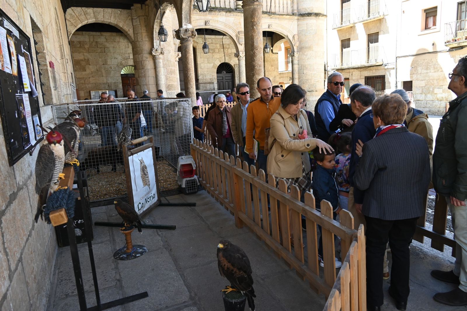 Ciudad Rodrigo celebra su Feria del Farinato