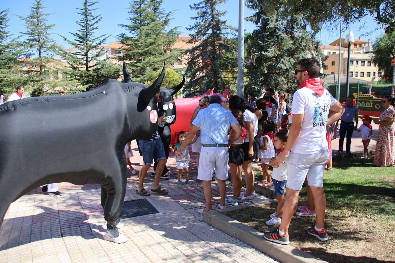 20230813110138-img-1408