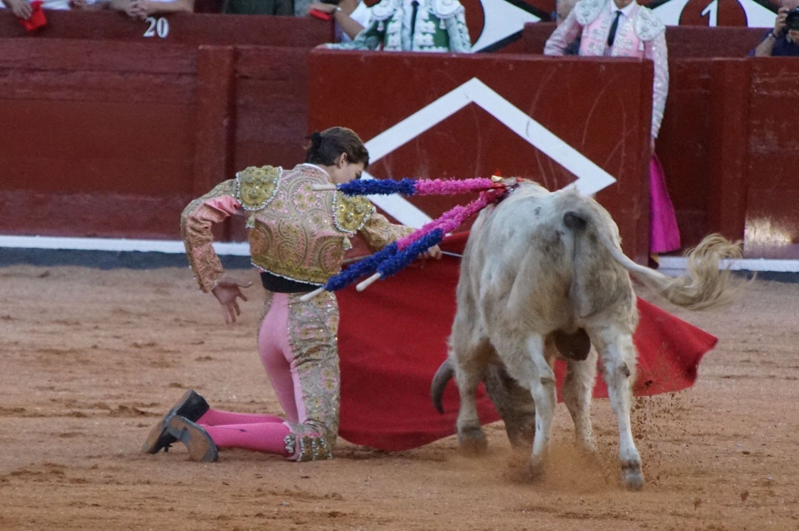 whatsapp-image-2022-09-08-at-9-21-46-pm