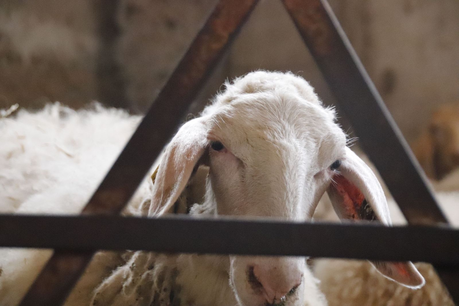 20220520102214-mg-8446