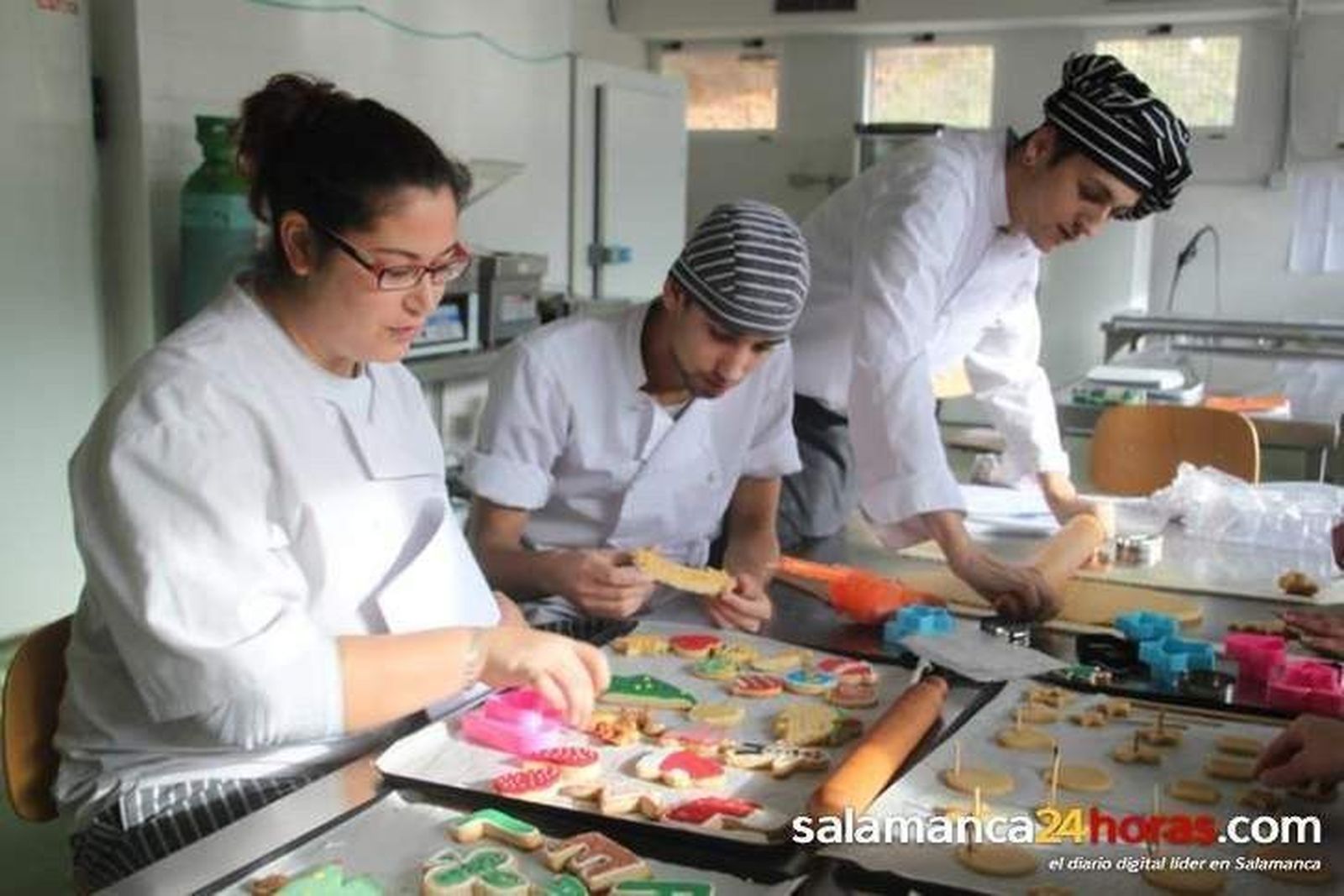 Aprobados tres nuevos currículos de Formación Profesional Básica