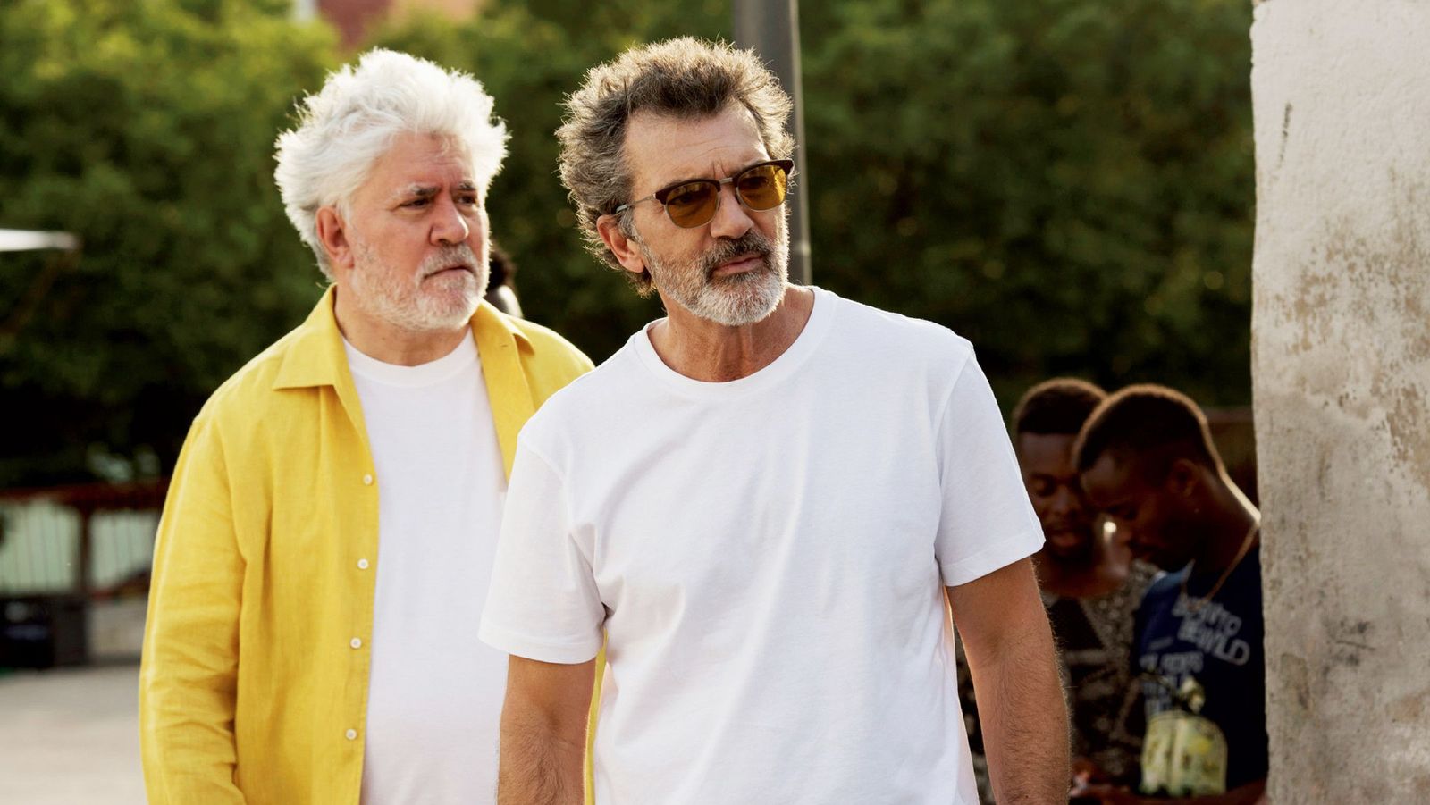 Dor e Glória  frame