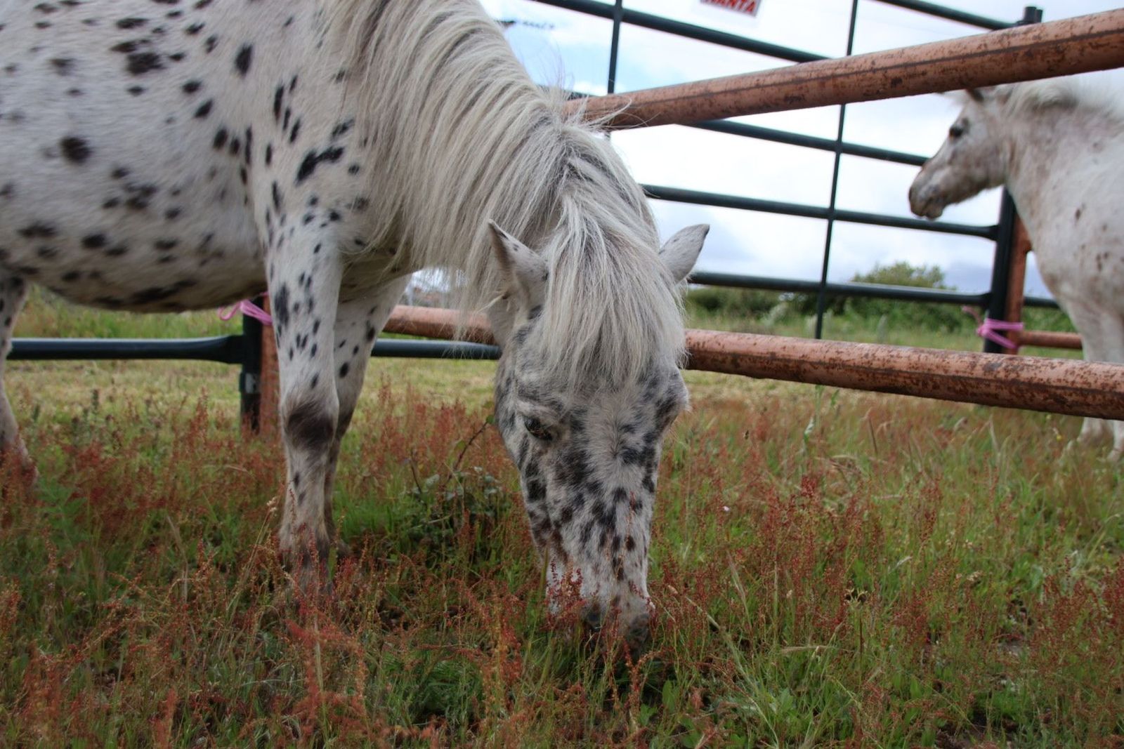 20240501102716-img-2891