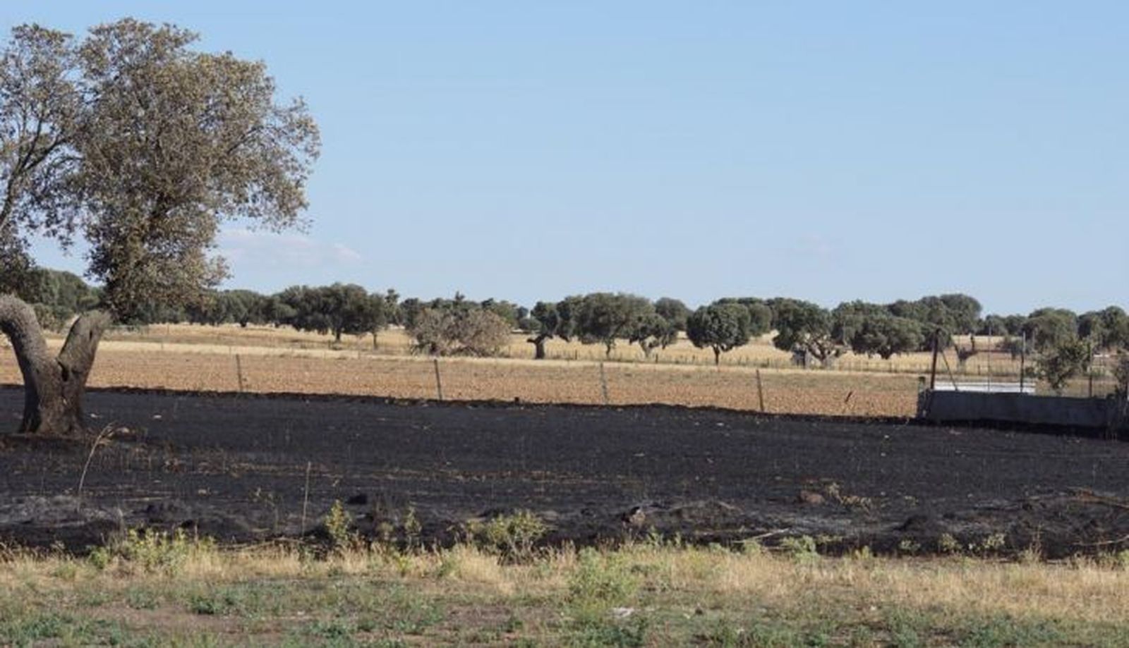 Incendio iniciado en Santa Teresa (Galisancho). Foto Juanes
