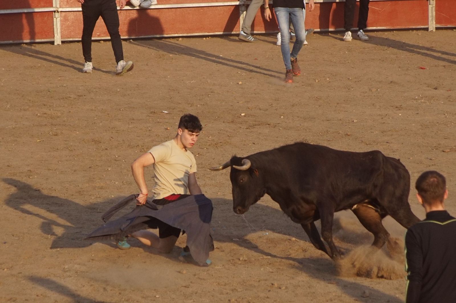 Carreras, risas y tradición: así se ha vivido El Toro en Santa Marta