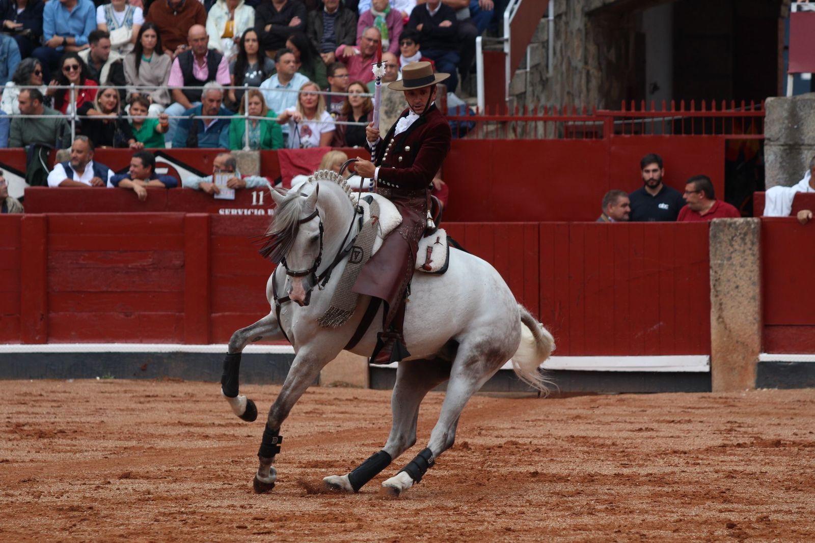 Diego Ventura, triunfador de la feria taurina 2024 con cuatro orejas en la corrida de rejones de Sánchez y Sánchez. Fotos Carlos H.G Diego Ventura, triunfador de la feria taurina 2024 con cuatro orejas en la corrida de rejones de Sánchez y Sánchez. Fotos Carlos H.G
