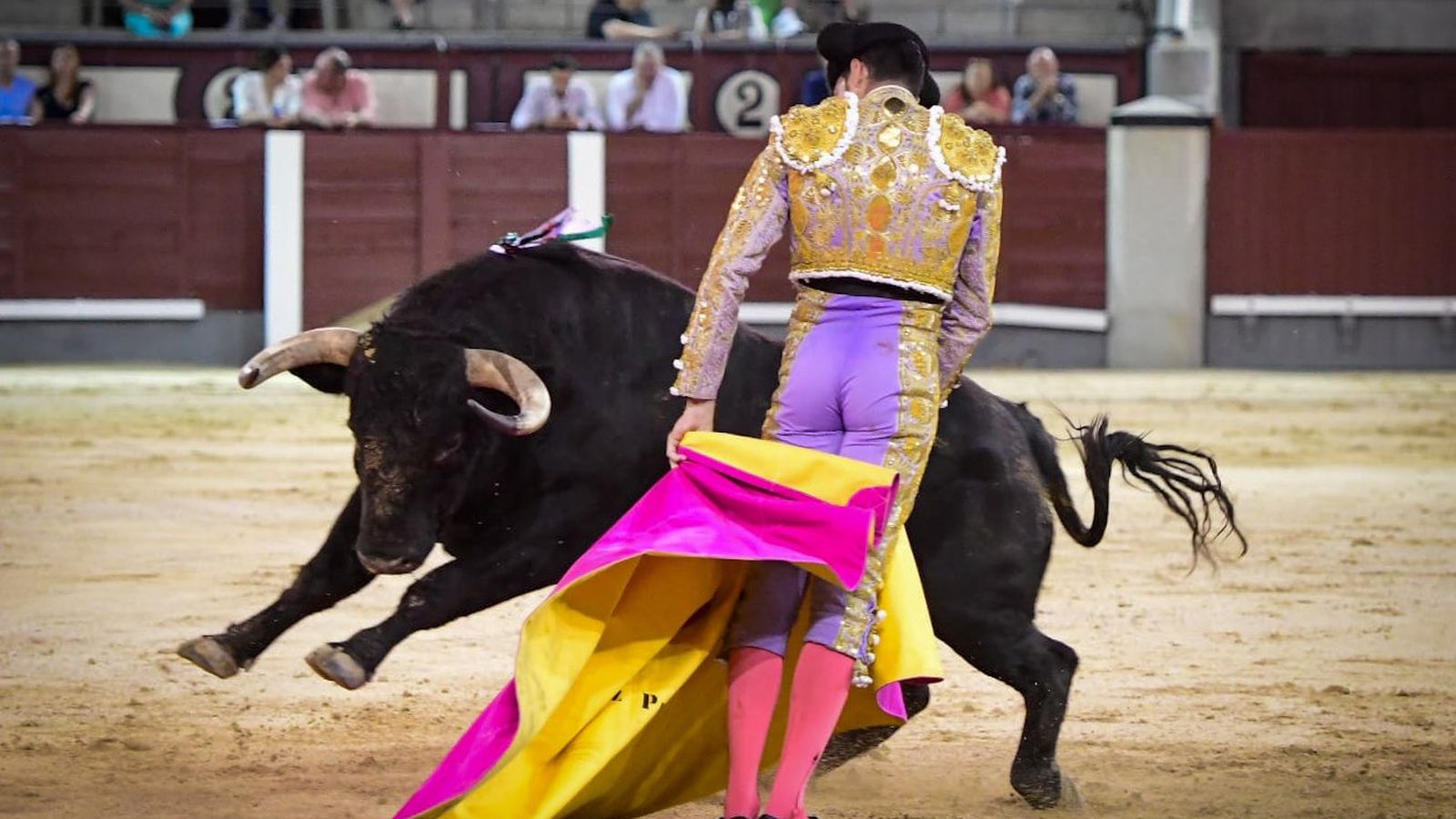 El novillero Pérez Pinto en su presentación en Las Ventas El novillero Pérez Pinto en su presentación en Las Ventas
