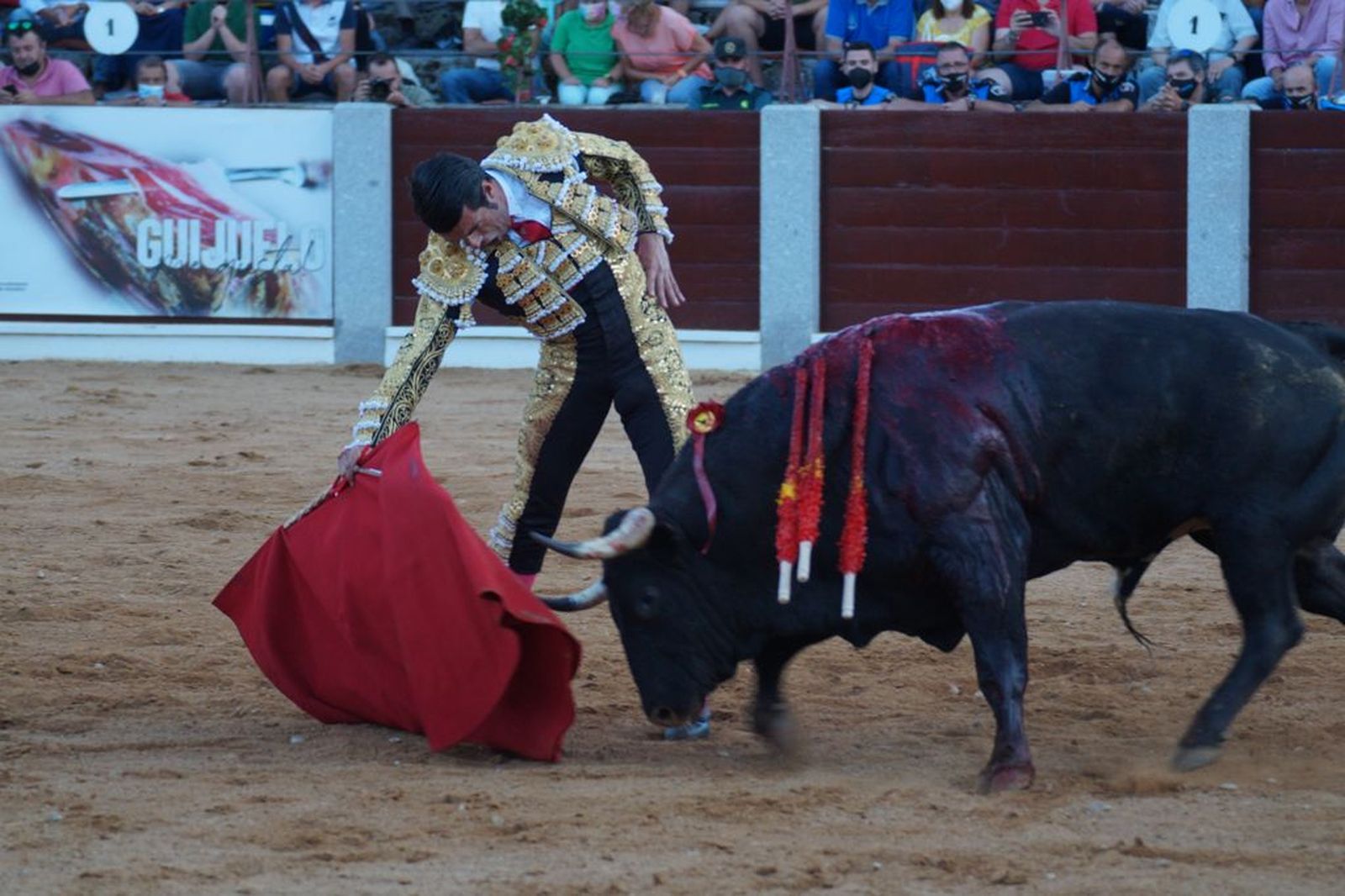 guijuelo-toros-el-puerto-de-san-lorenzo-35