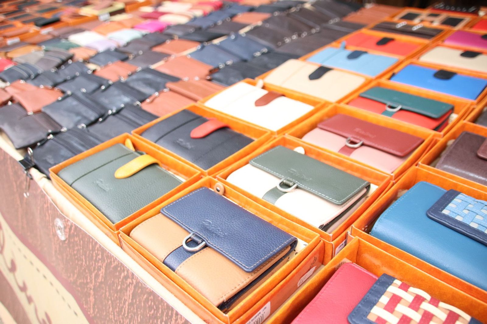 20230903112045-img-7743