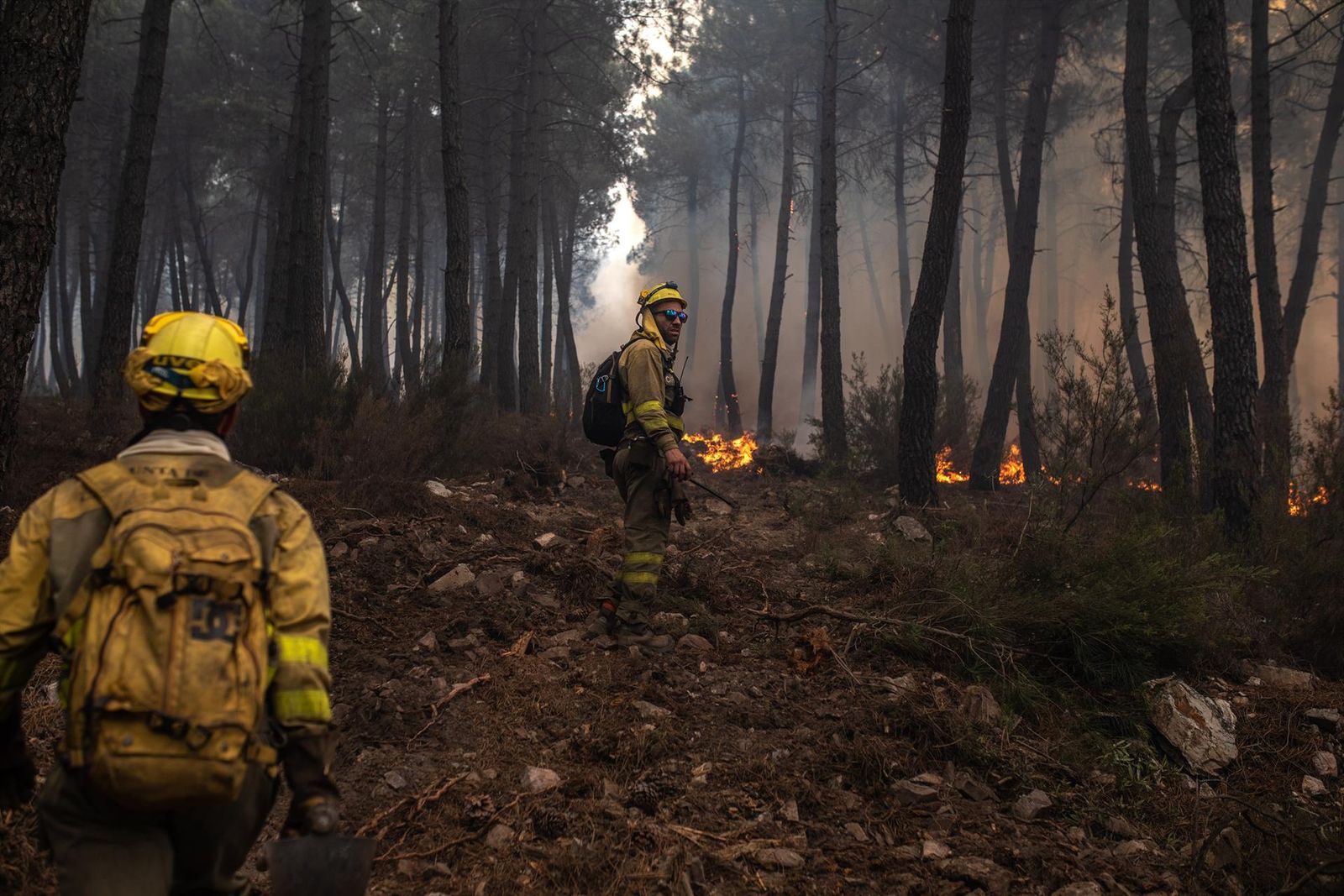 Incendio de la Sierra de la Culebra. Foto Europa Press