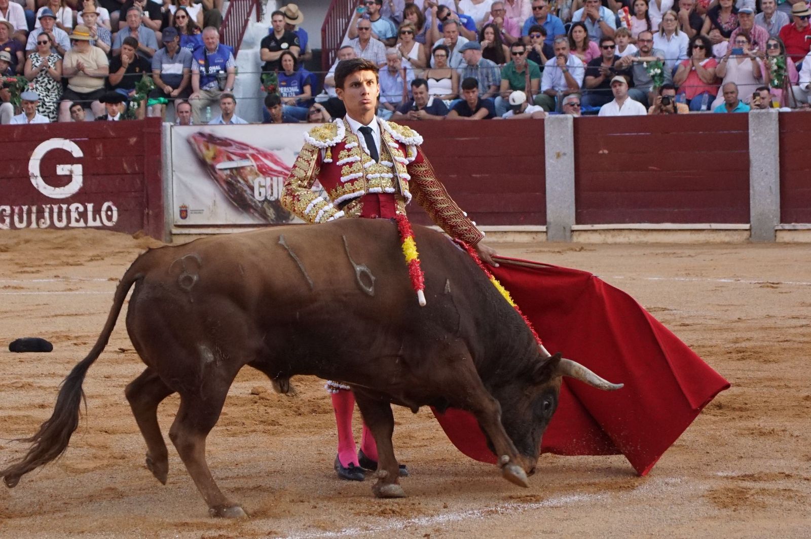 : Emilio de Justo y Diosleguarde cierran en hombros una feria de Guijuelo marcada por las despedidas de El Capea y Javier Castaño