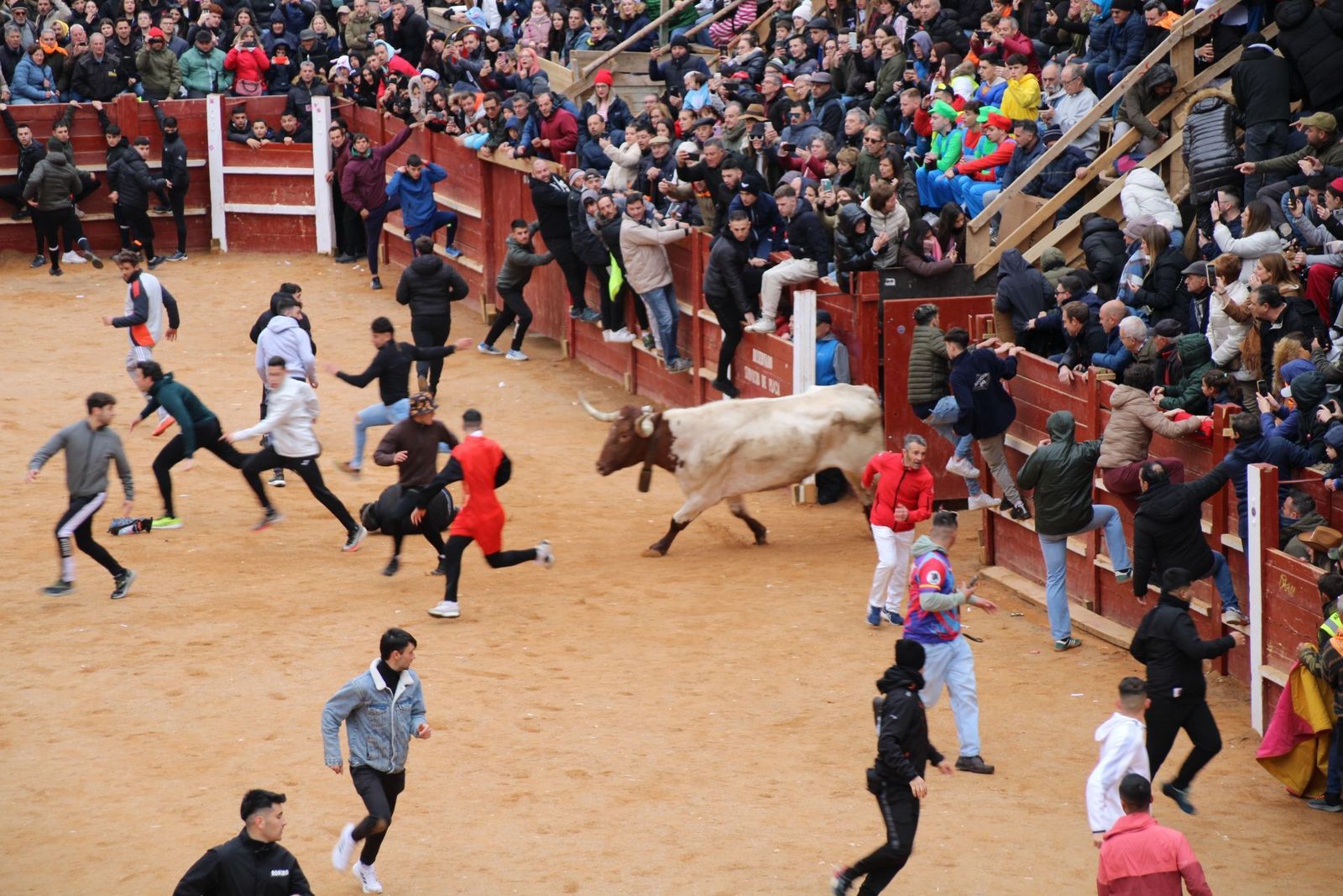 whatsapp-image-2025-03-01-at-13-18-31