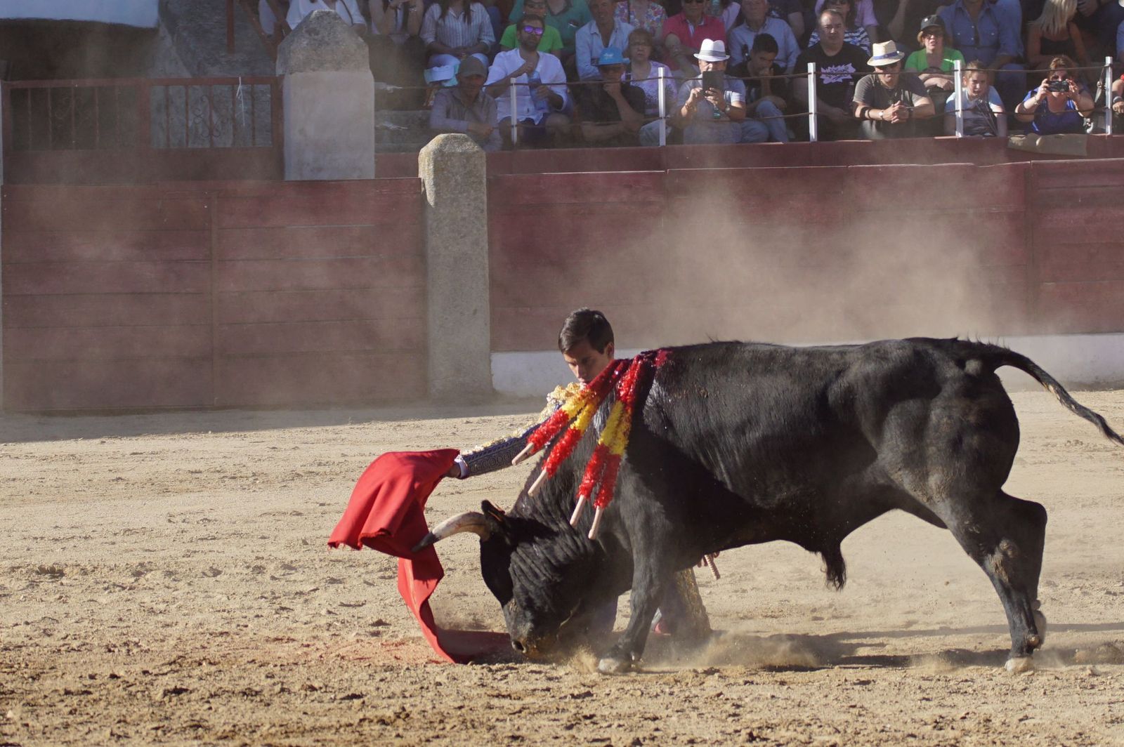 whatsapp-image-2024-06-02-at-22-12-13