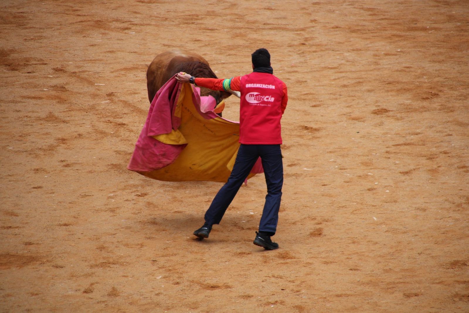 whatsapp-image-2025-03-01-at-13-18-36