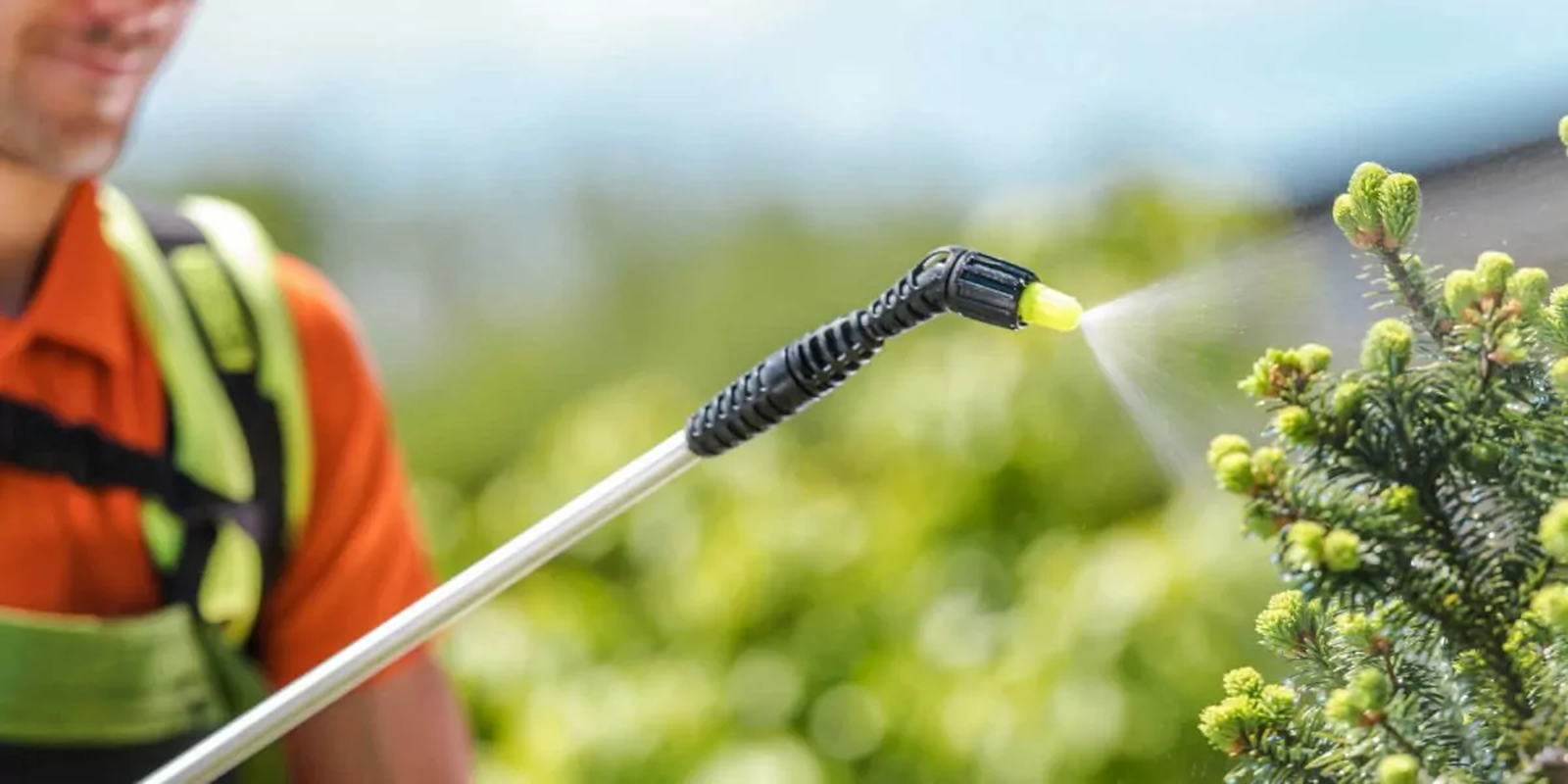 Control de de palgas