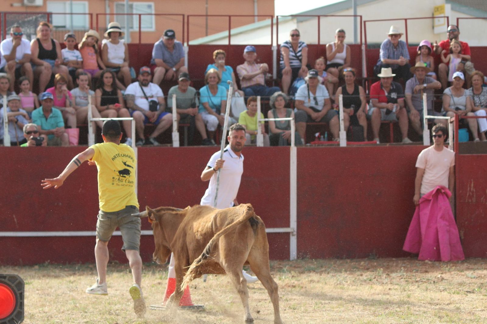 img-2208