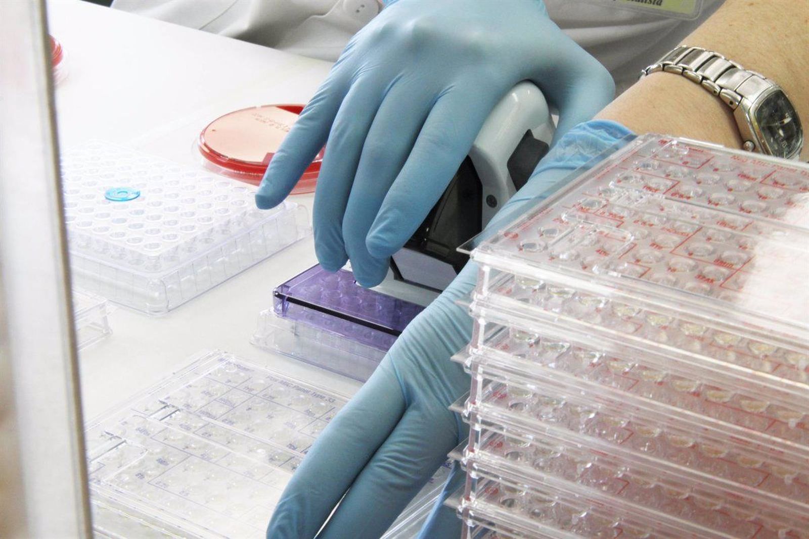 Jóvenes investigadores. Foto EP