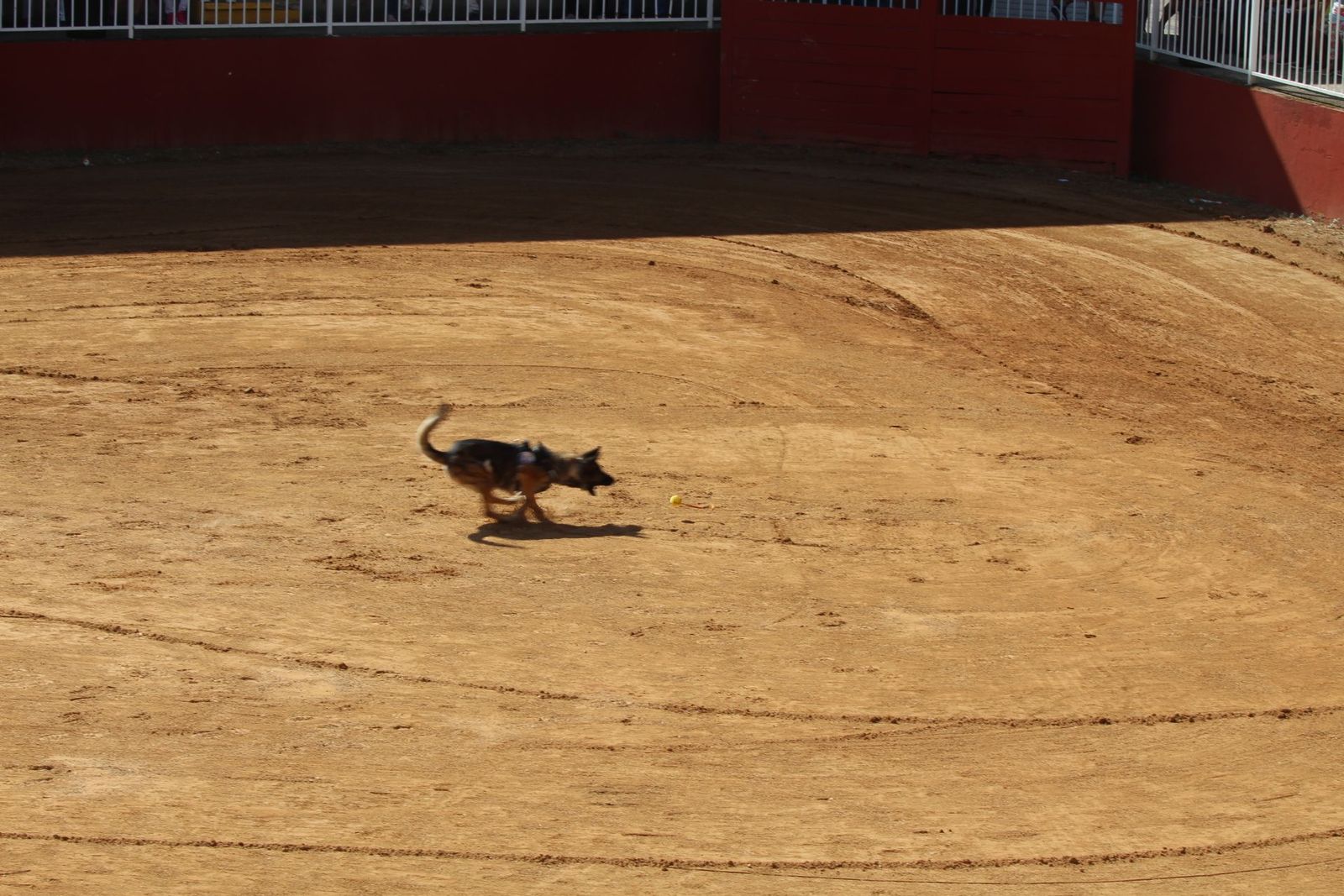 20230905122916-img-7960