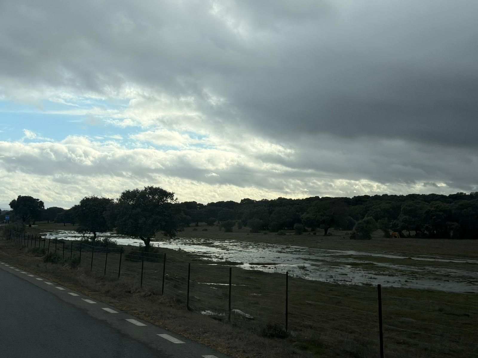 El campo anegado de agua en la zona del Campo Charro