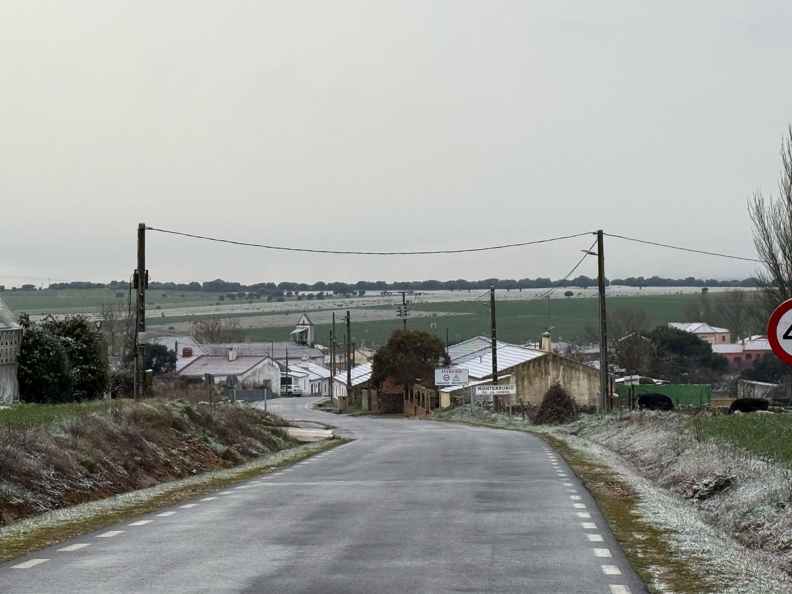 nieve-en-monterrubio-y-cuatro-calzadas-3